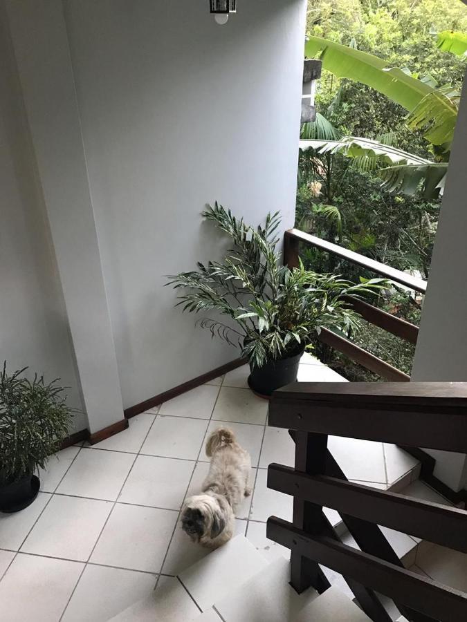 Pousada Sereia Dourada Bed & Breakfast Itacaré Dış mekan fotoğraf